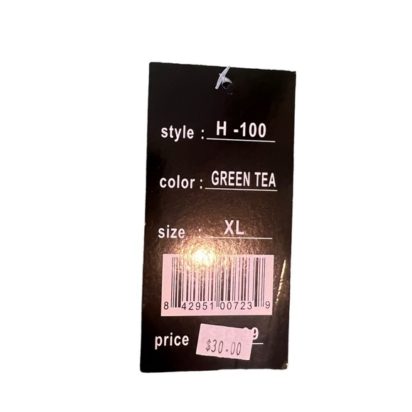 White Lake State Park hoodie. Size extra large. Color green tea. Luxe Apparel. - Picture 5 of 6